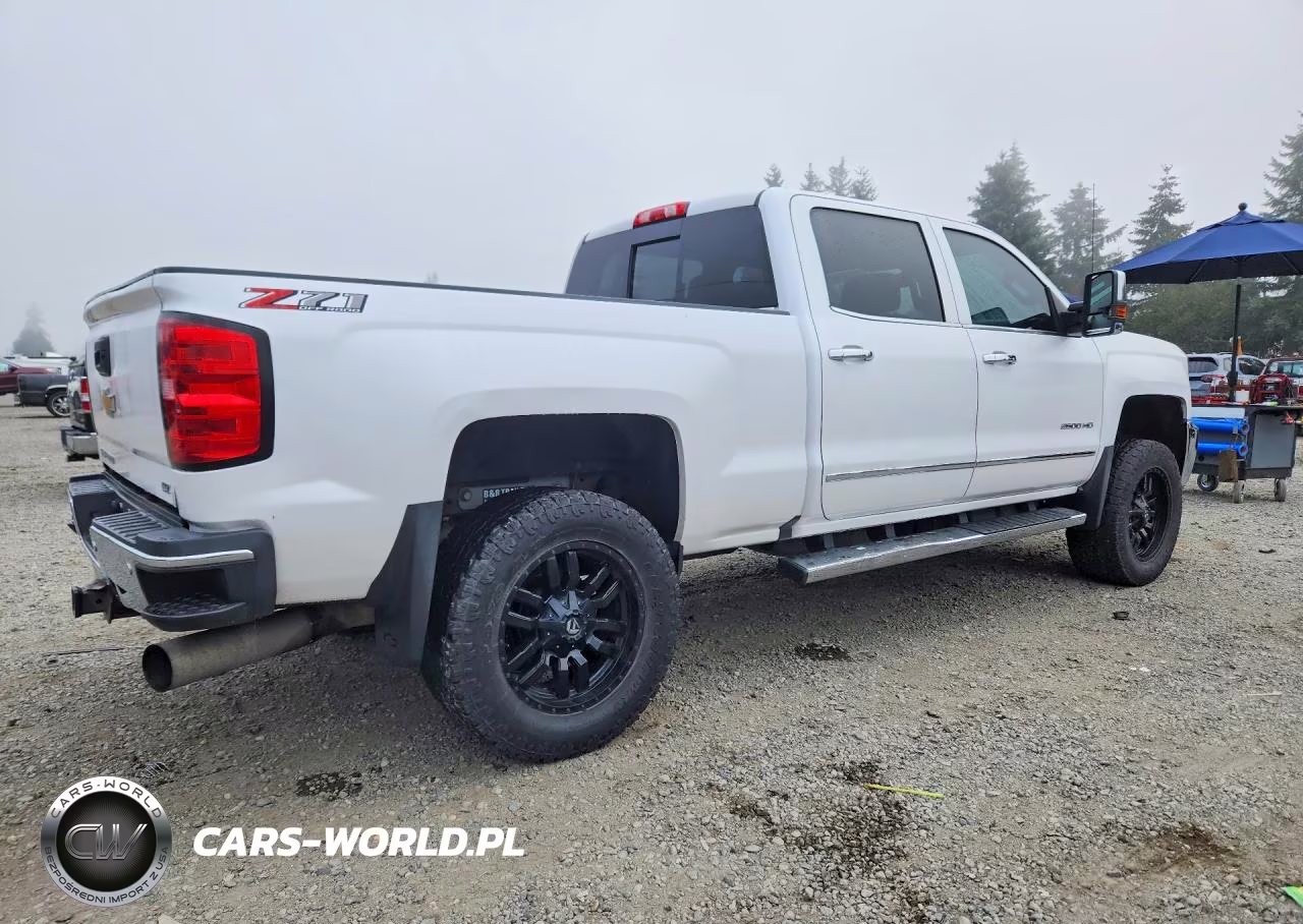 2019 Chevrolet Silverado K2500 Heavy Duty Ltz VIN:1GC1KTEY8KF121325 - 3
