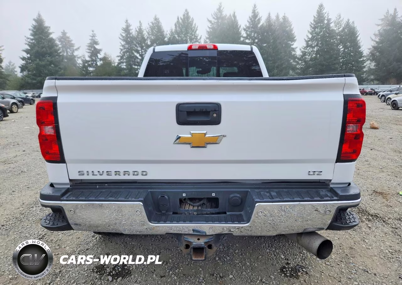2019 Chevrolet Silverado K2500 Heavy Duty Ltz VIN:1GC1KTEY8KF121325 - 6