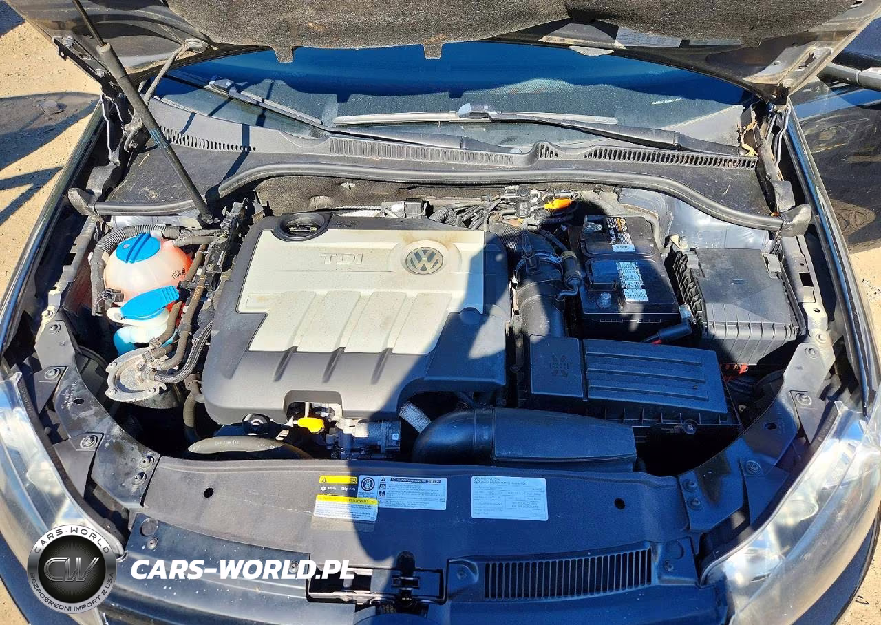 2014 Volkswagen Golf VIN:WVWNM7AJ4EW010741 - 11