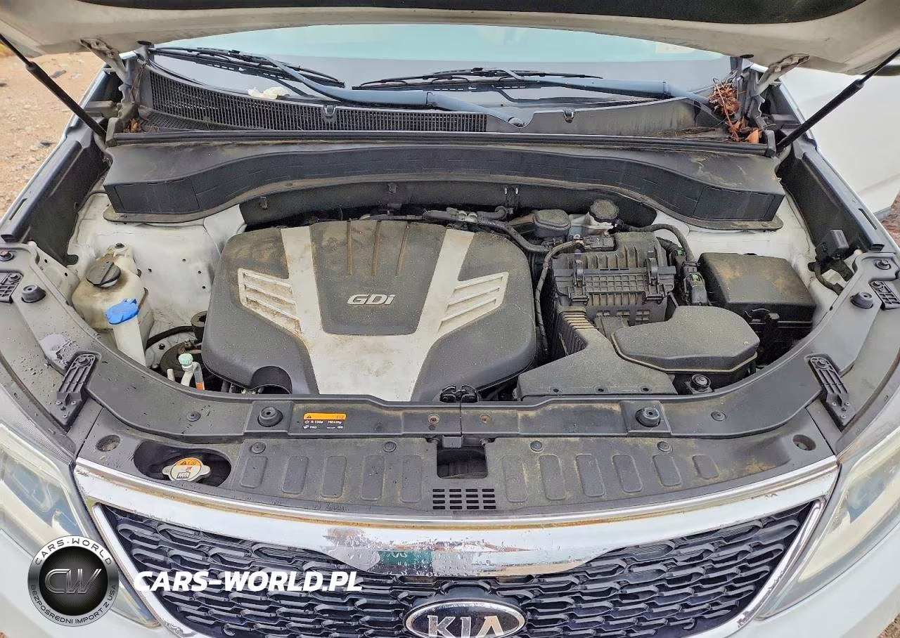 2014 Kia Sorento Lx VIN:5XYKT4A7XEG529718 - 12