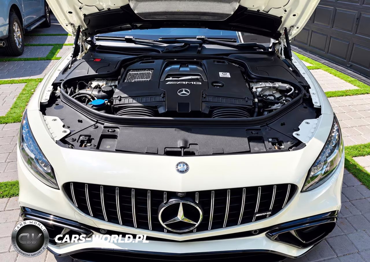 2019 Merz S 63 Amg VIN:WDDXJ8JB1KA039953 - 7