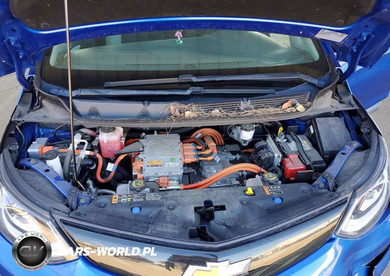 2019 Chevrolet Bolt Ev Lt VIN:1G1FY6S00K4134644 - 11