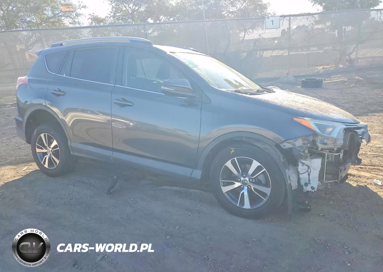 2016 Toyota Rav4 Xle VIN:2T3WFREV0GW255884 - 4