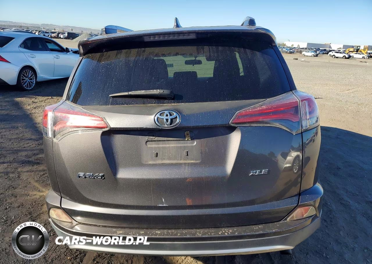 2016 Toyota Rav4 Xle VIN:2T3WFREV0GW255884 - 6