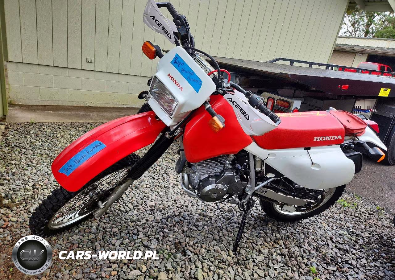 2023 Honda Xr650 L Dirt Bike VIN:JH2RD0603PK200203 - 3