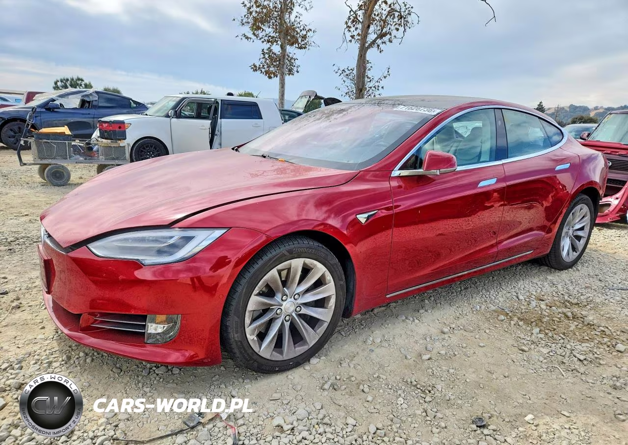 2019 Tesla Model S