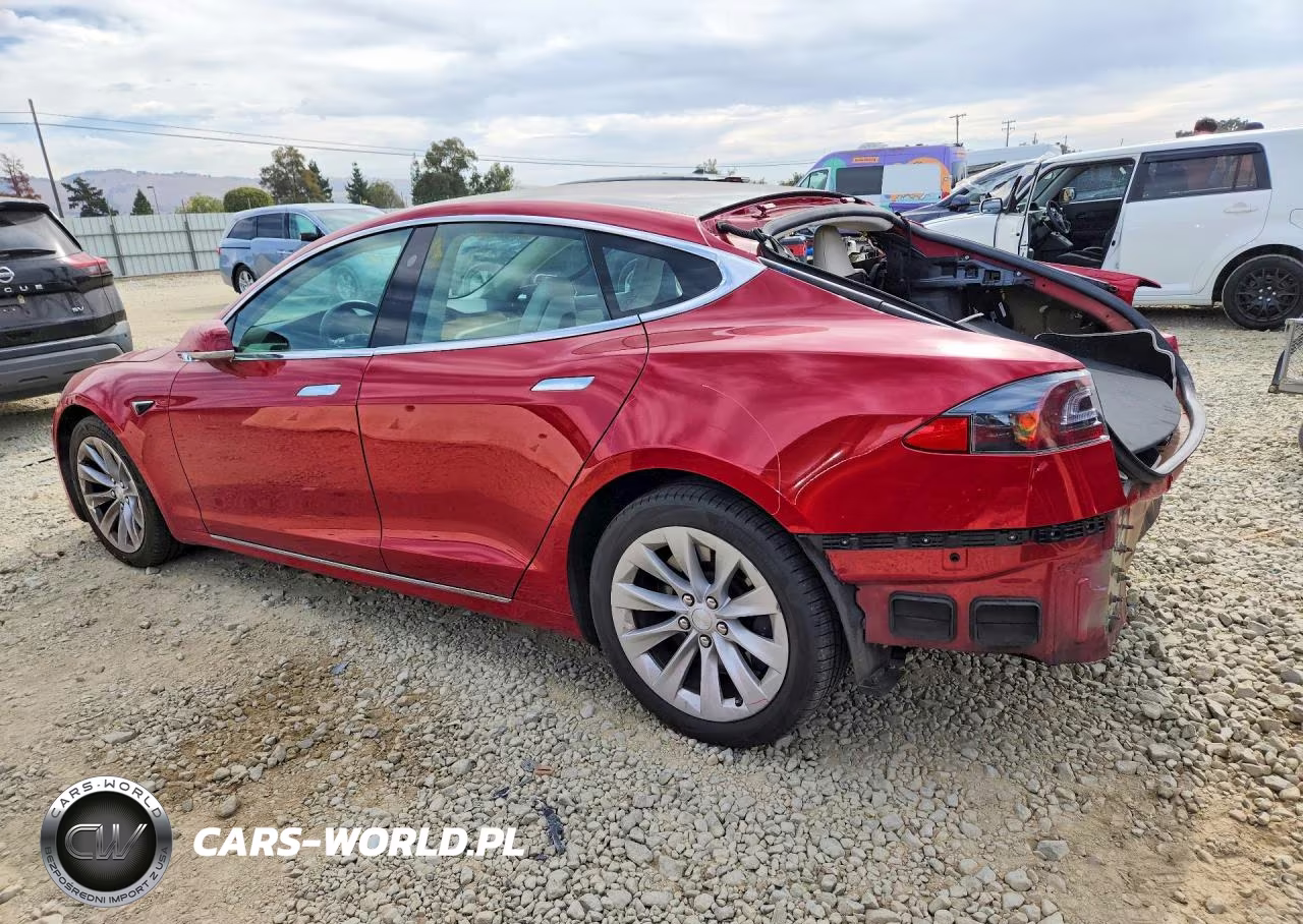 2019 Tesla Model S VIN:5YJSA1E21KF303993 - 2