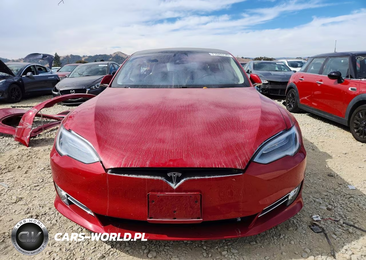 2019 Tesla Model S VIN:5YJSA1E21KF303993 - 5