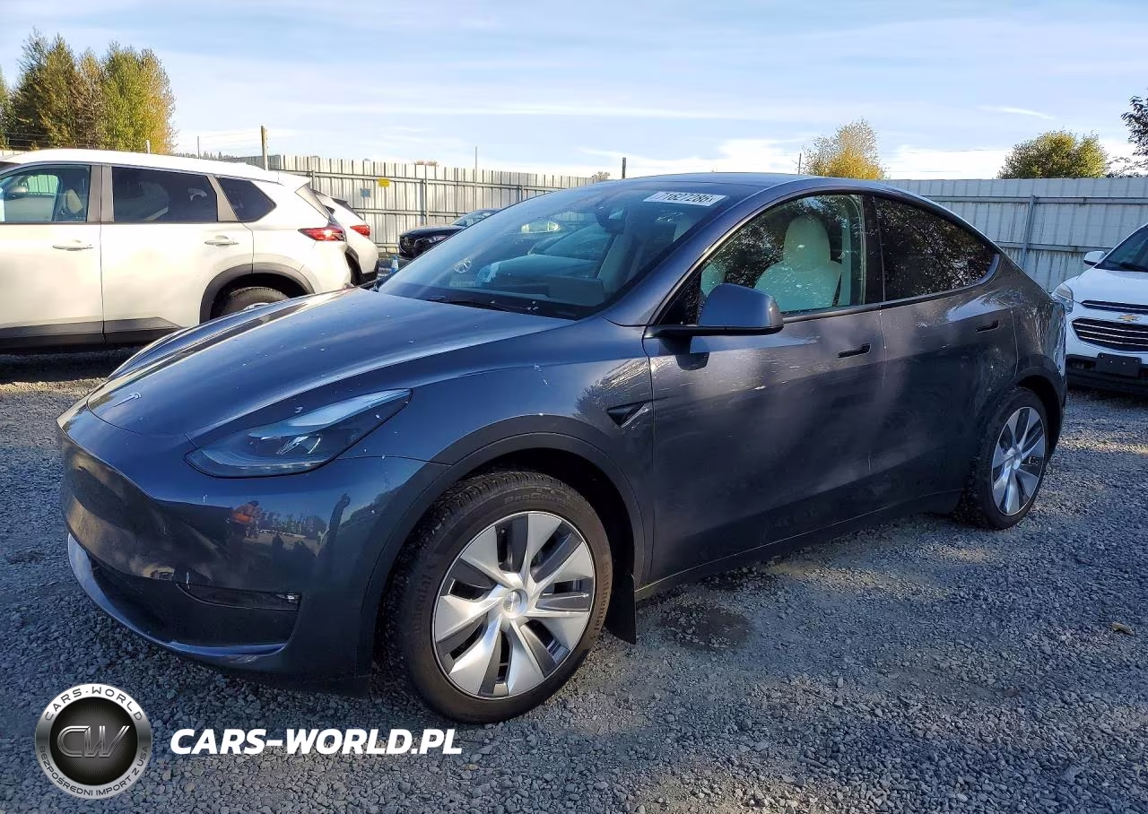 2023 Tesla Model Y VIN:7SAYGDEE6PF873745 - 1