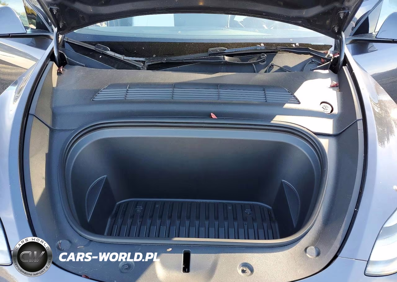 2023 Tesla Model Y VIN:7SAYGDEE6PF873745 - 12