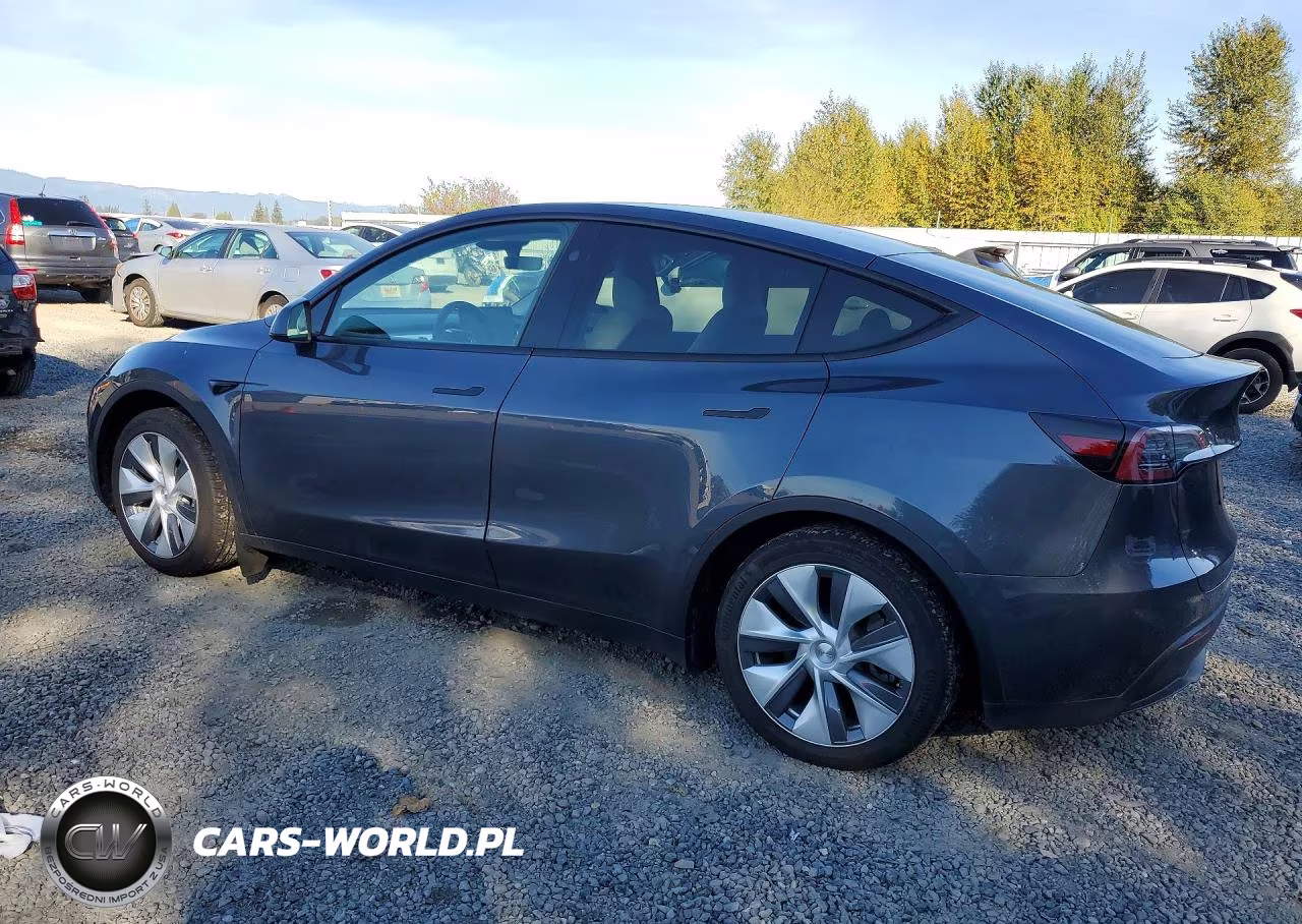 2023 Tesla Model Y VIN:7SAYGDEE6PF873745 - 2