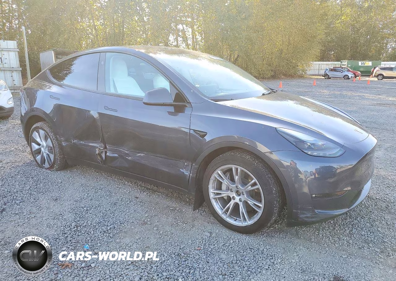 2023 Tesla Model Y VIN:7SAYGDEE6PF873745 - 4