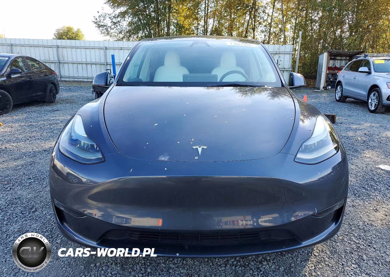 2023 Tesla Model Y VIN:7SAYGDEE6PF873745 - 5