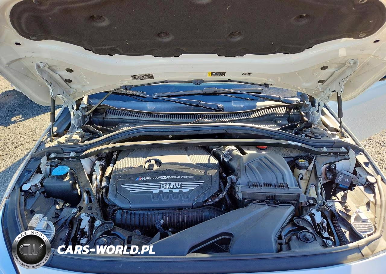 2020 BMW M235Xi VIN:WBA13AL05L7G05754 - 11