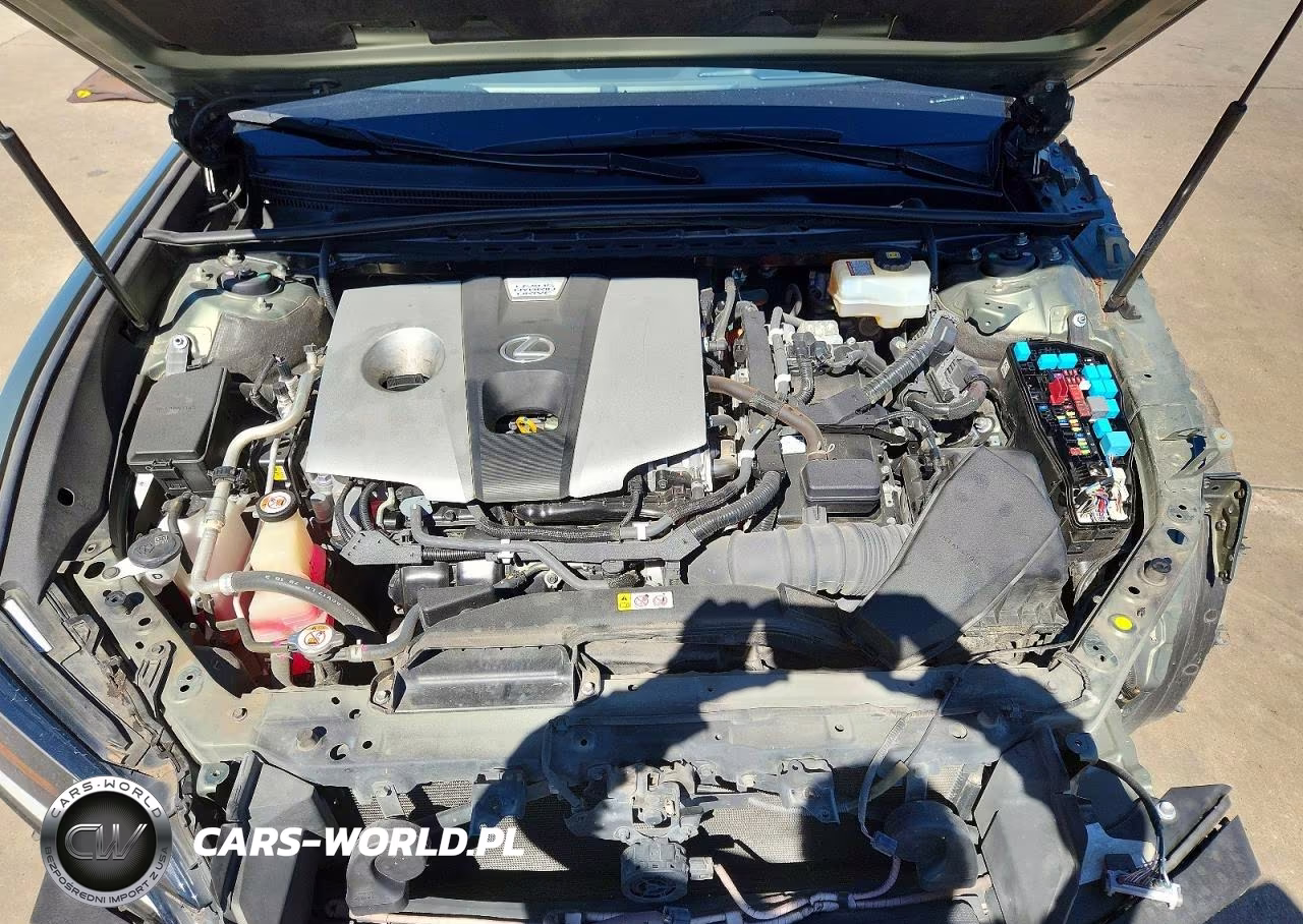 2019 Lexus Es 300H VIN:JTHB21B12K2005513 - 11