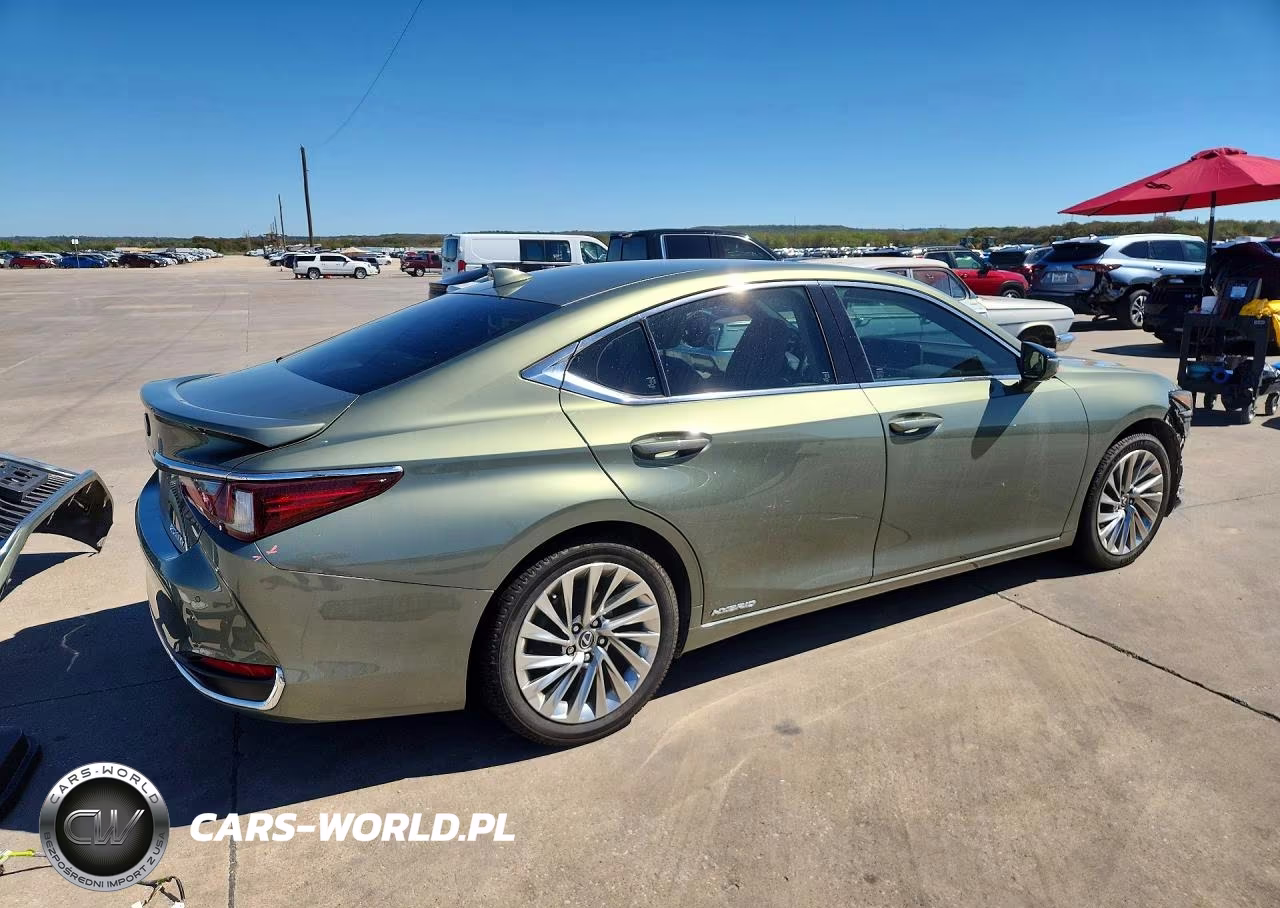 2019 Lexus Es 300H VIN:JTHB21B12K2005513 - 3