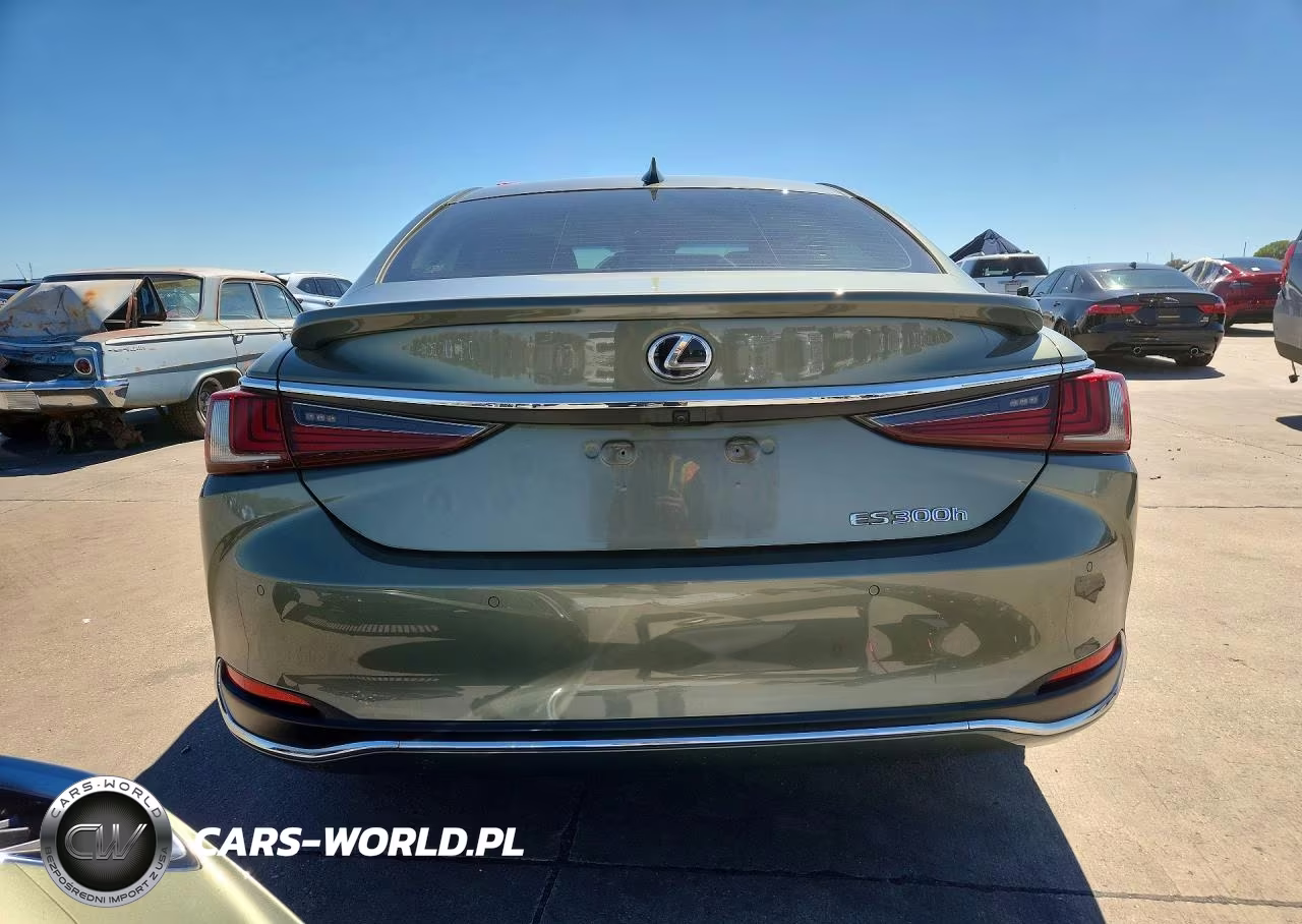 2019 Lexus Es 300H VIN:JTHB21B12K2005513 - 6