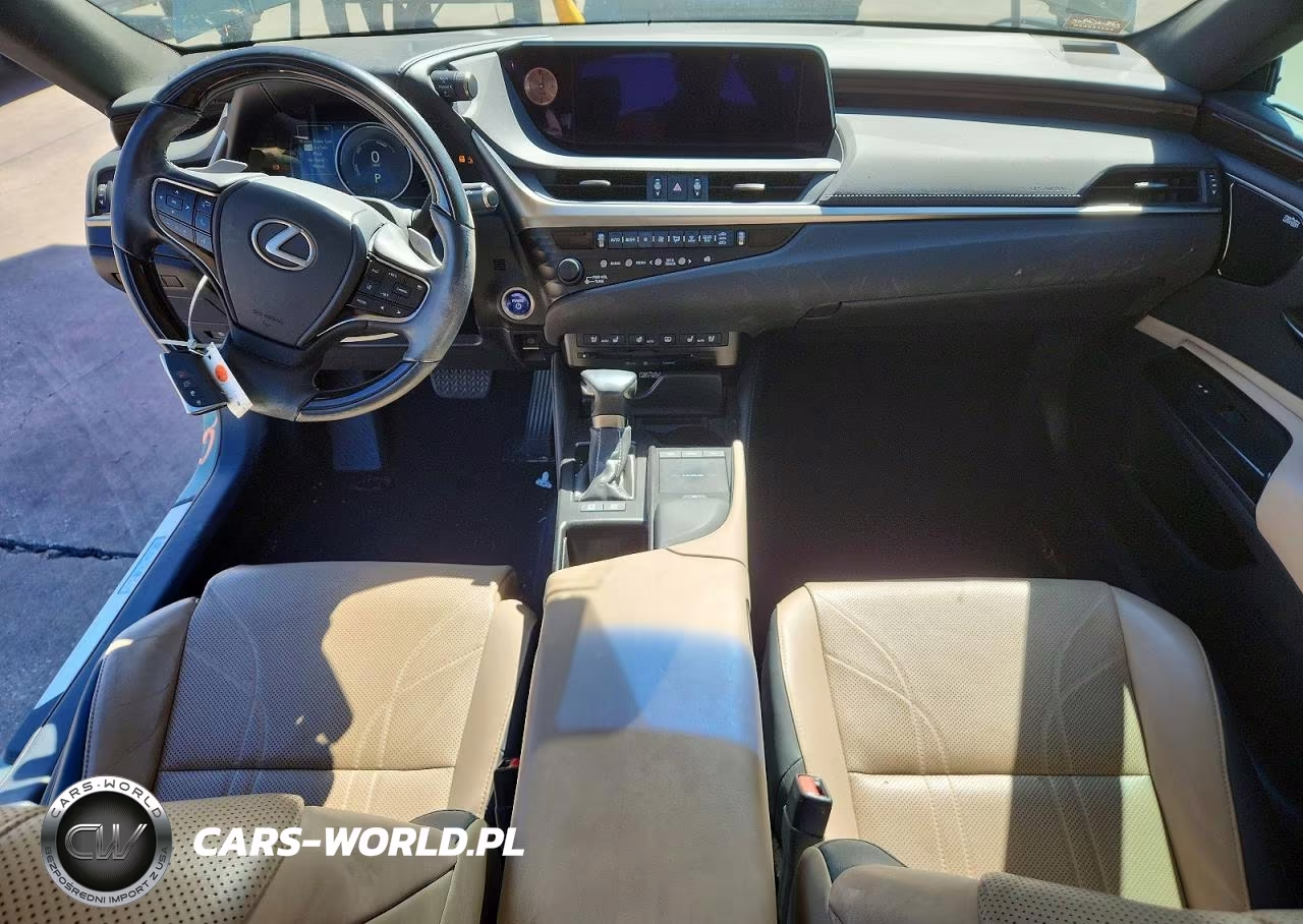 2019 Lexus Es 300H VIN:JTHB21B12K2005513 - 8