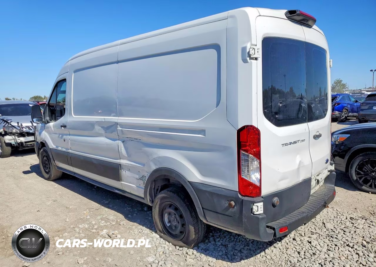 2019 Ford Transit 250 Delivery Van VIN:1FTYR2CM2KKA87250 - 2