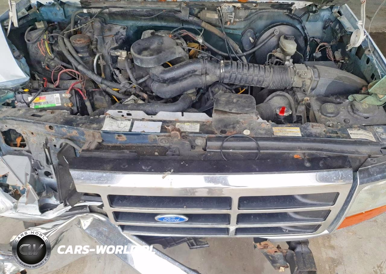 1995 Ford F150 VIN:1FTEF15N5SNB71623 - 11