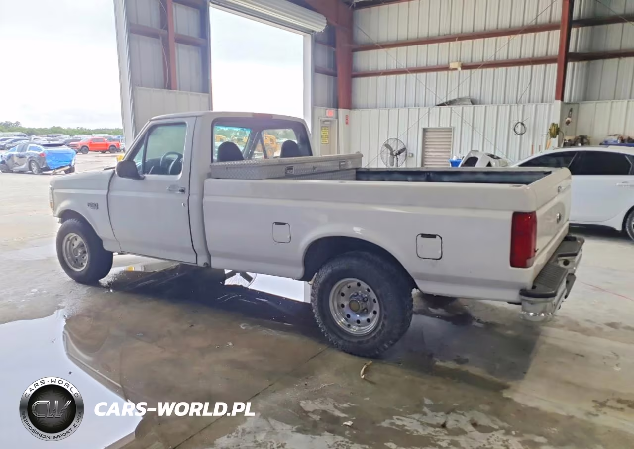 1995 Ford F150 VIN:1FTEF15N5SNB71623 - 2