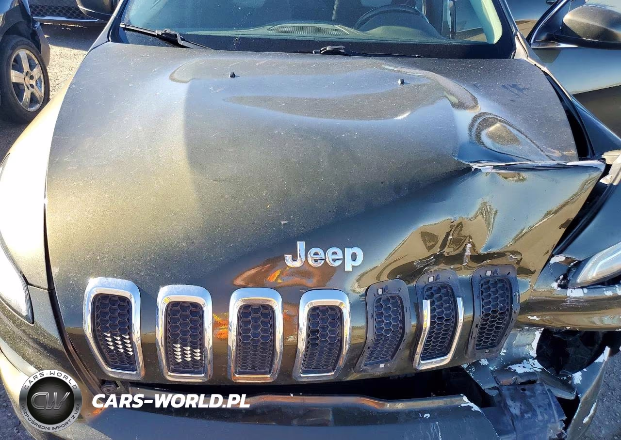 2014 Jeep Cherokee Latitude VIN:1C4PJLCS3EW262223 - 11