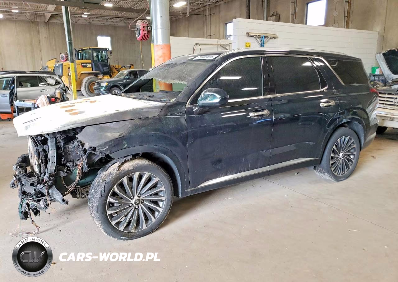 2023 Hyundai Palisade Calligraphy VIN:KM8R7DGE4PU496754 - 1