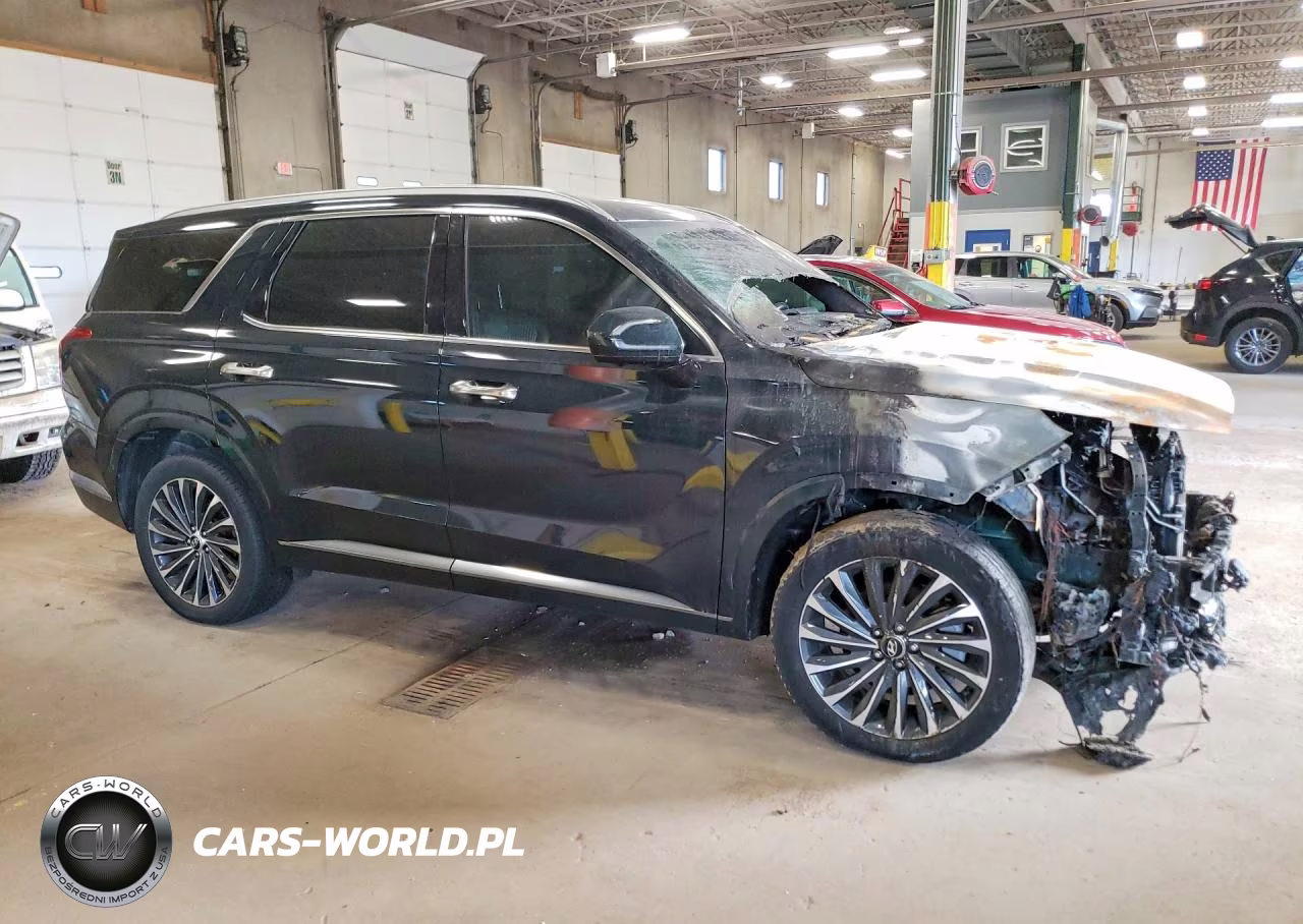 2023 Hyundai Palisade Calligraphy VIN:KM8R7DGE4PU496754 - 4