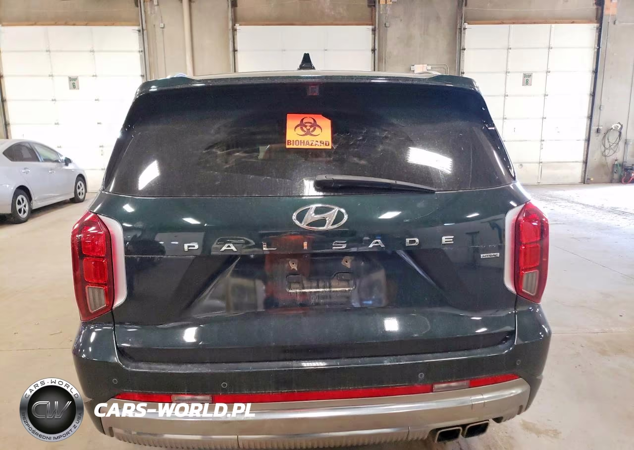 2023 Hyundai Palisade Calligraphy VIN:KM8R7DGE4PU496754 - 6