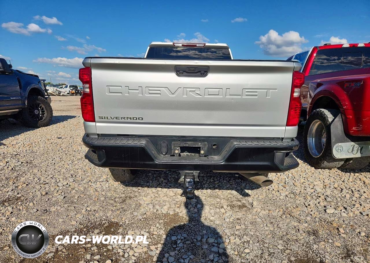 2020 Chevrolet Silverado K2500 Heavy Duty VIN:1GC1YLE76LF294056 - 6