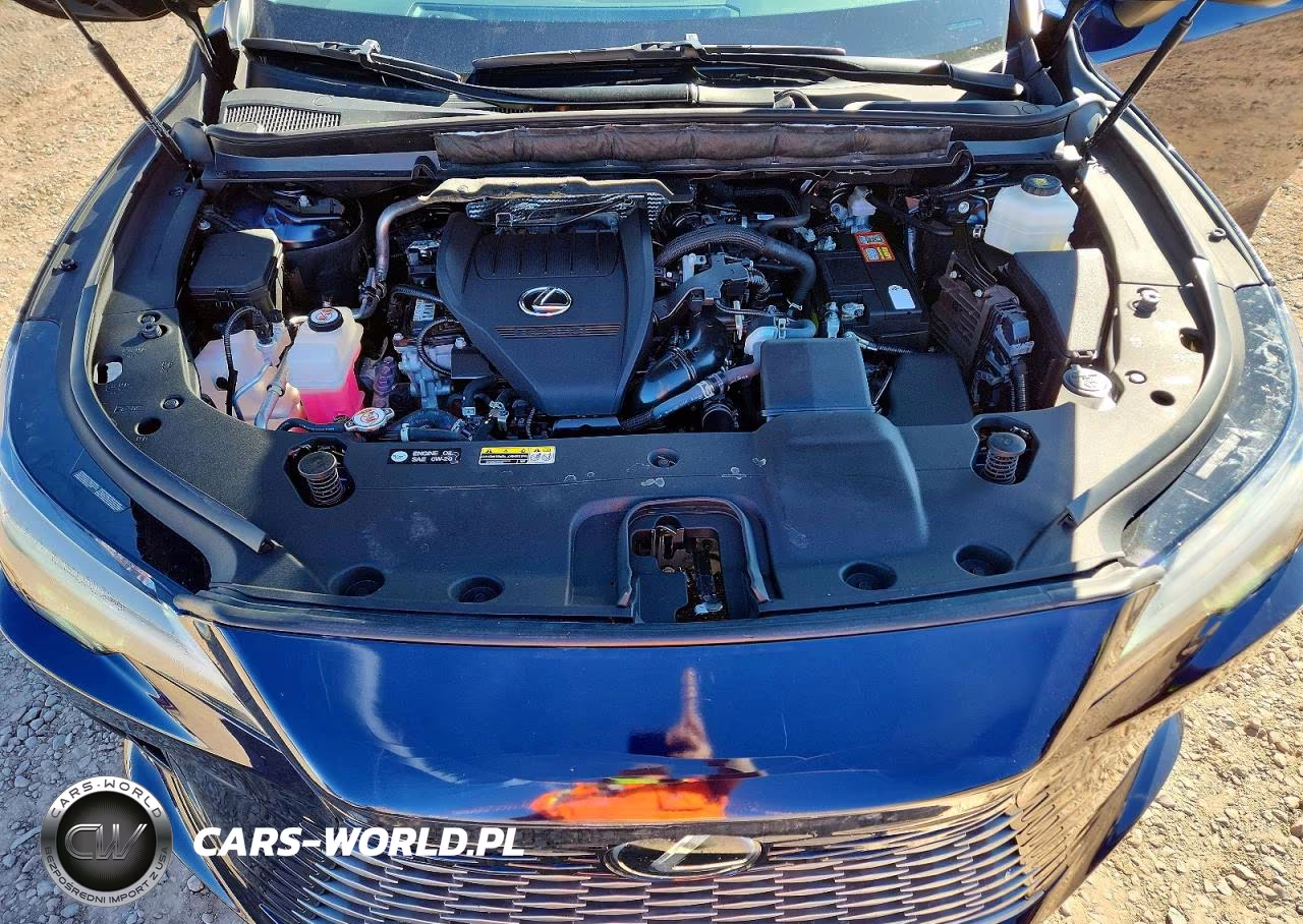 2024 Lexus Rx 350 Base VIN:2T2BAMBA6RC026510 - 12