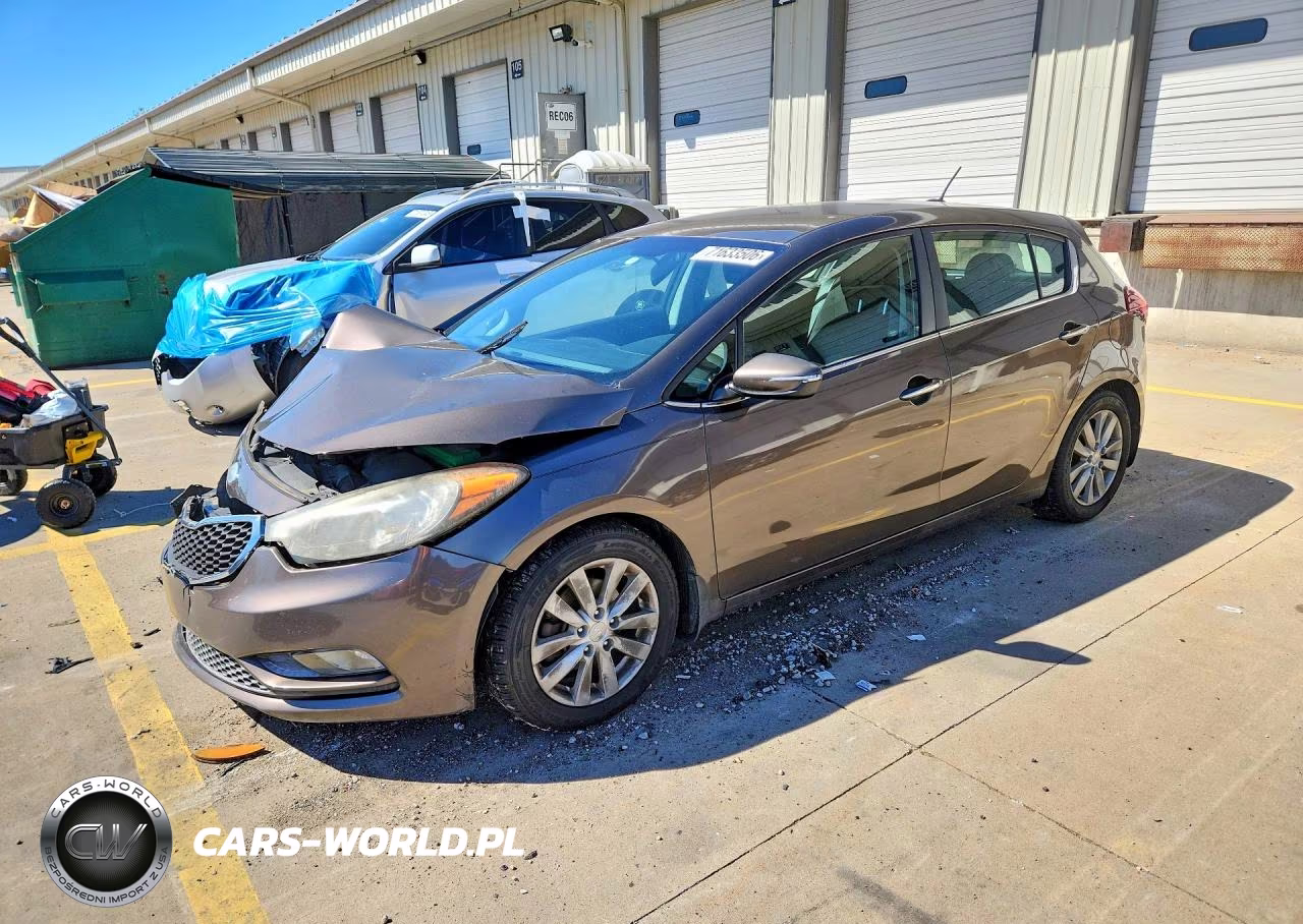 2015 Kia Forte Ex VIN:KNAFX5A89F5289492 - 1