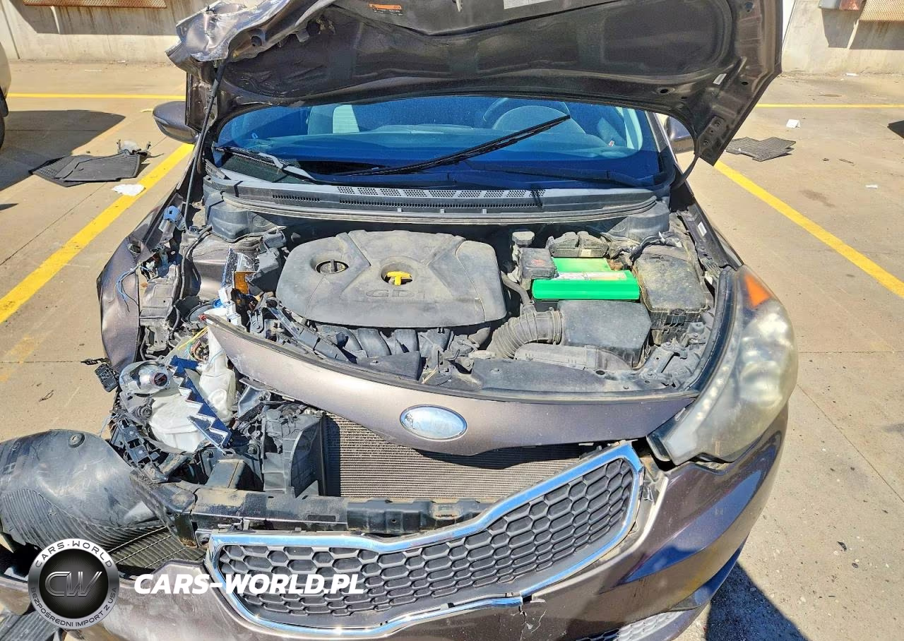 2015 Kia Forte Ex VIN:KNAFX5A89F5289492 - 11