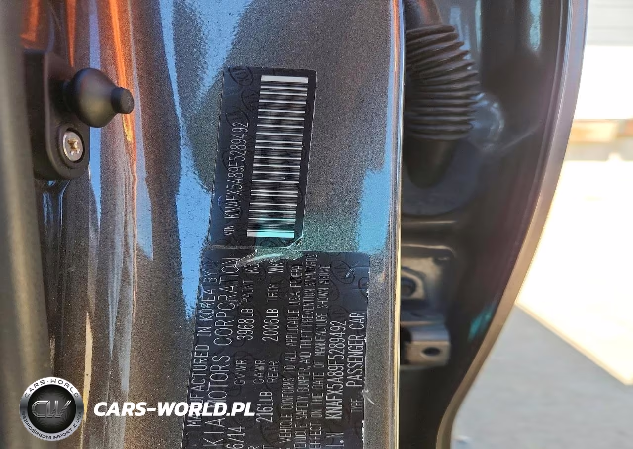 2015 Kia Forte Ex VIN:KNAFX5A89F5289492 - 12