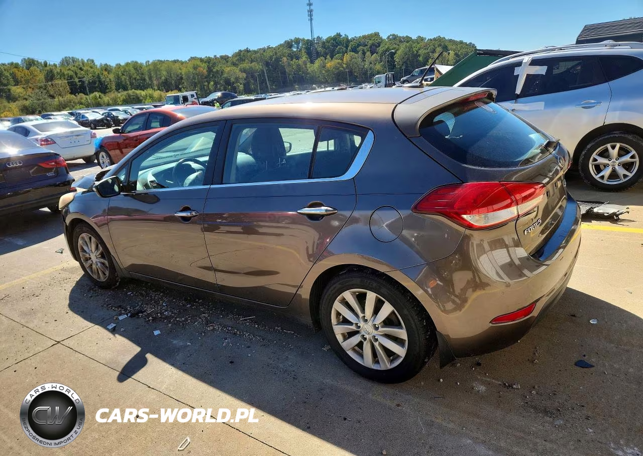 2015 Kia Forte Ex VIN:KNAFX5A89F5289492 - 2