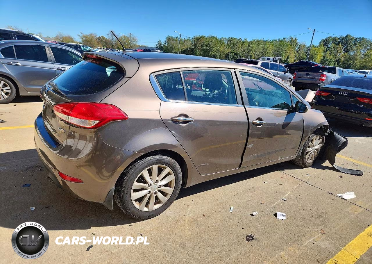 2015 Kia Forte Ex VIN:KNAFX5A89F5289492 - 3