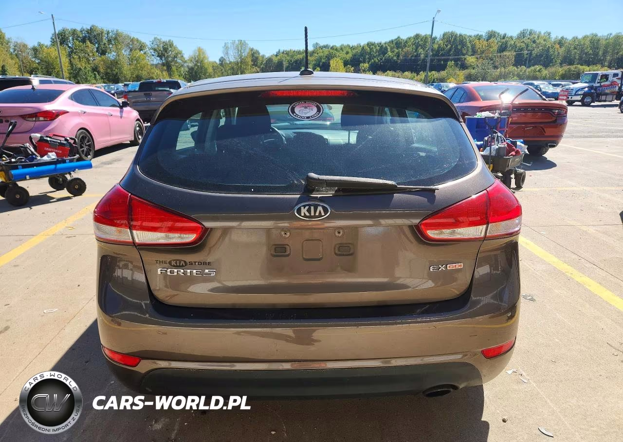 2015 Kia Forte Ex VIN:KNAFX5A89F5289492 - 6