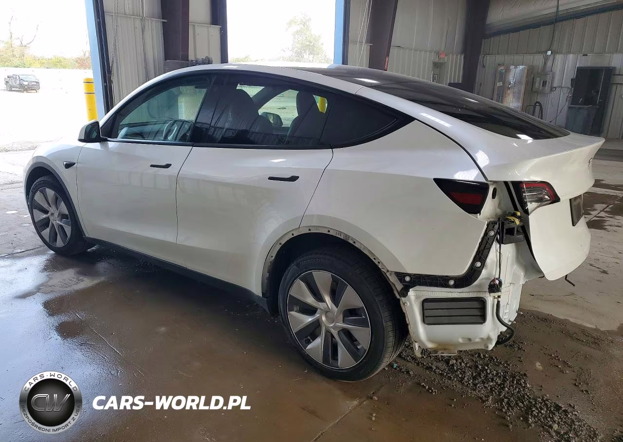 2023 Tesla Model Y VIN:7SAYGDEE3PA100776 - 2