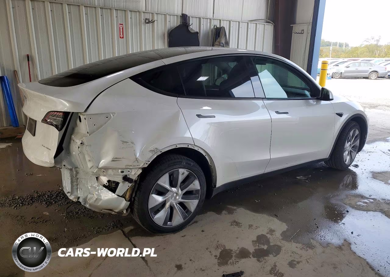2023 Tesla Model Y VIN:7SAYGDEE3PA100776 - 3