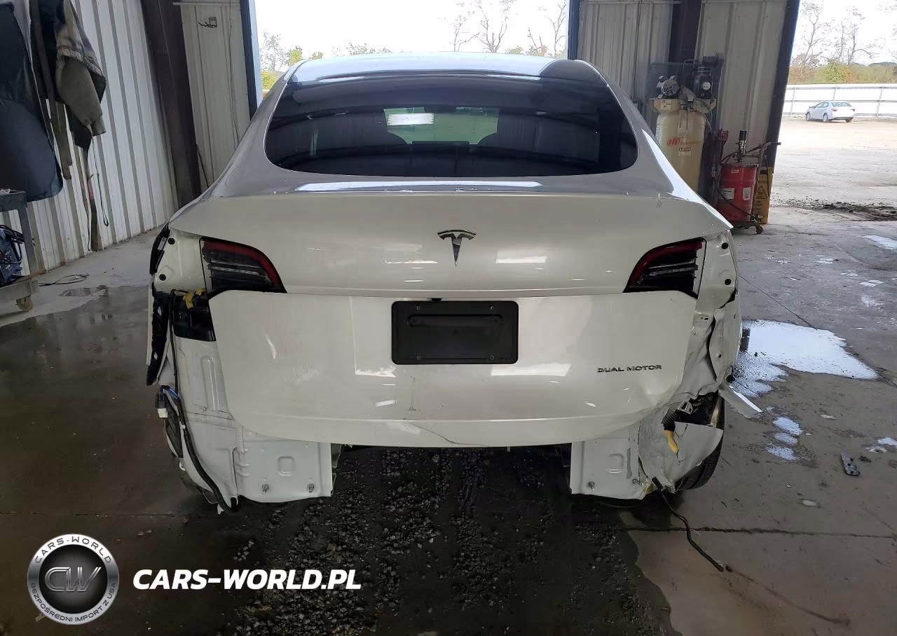 2023 Tesla Model Y VIN:7SAYGDEE3PA100776 - 6