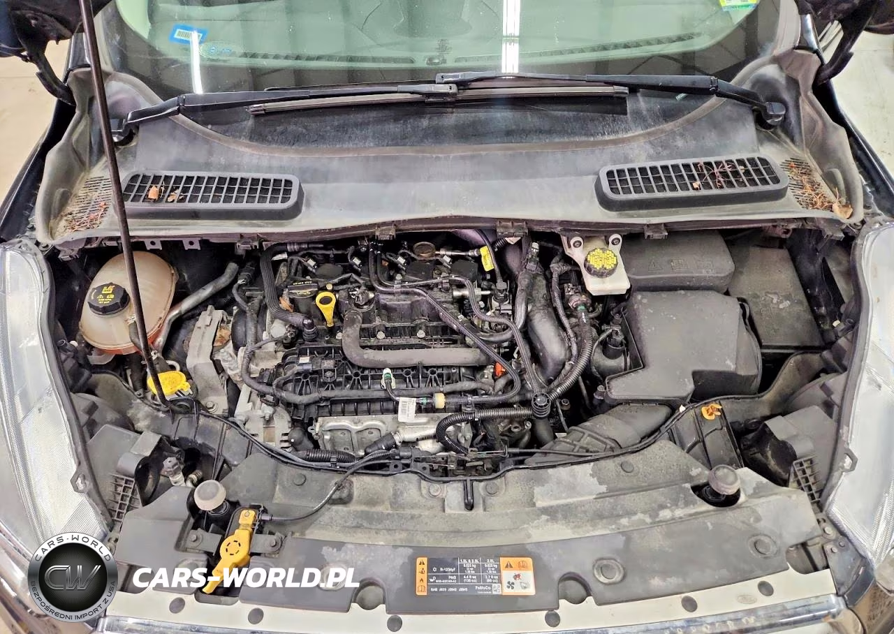 2019 Ford Escape Se VIN:1FMCU9GD6KUB41760 - 12