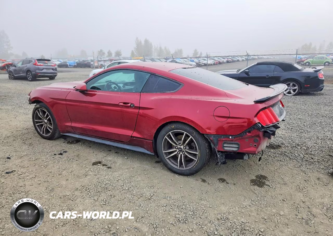 2016 Ford Mustang VIN:1FA6P8TH8G5323625 - 2