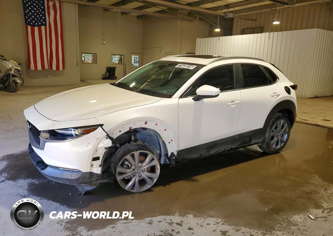 2025 Mazda Cx-30 Preferred VIN:3MVDMBCM6SM814779 - 1