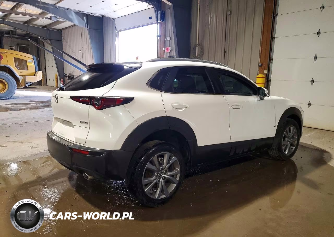 2025 Mazda Cx-30 Preferred VIN:3MVDMBCM6SM814779 - 3