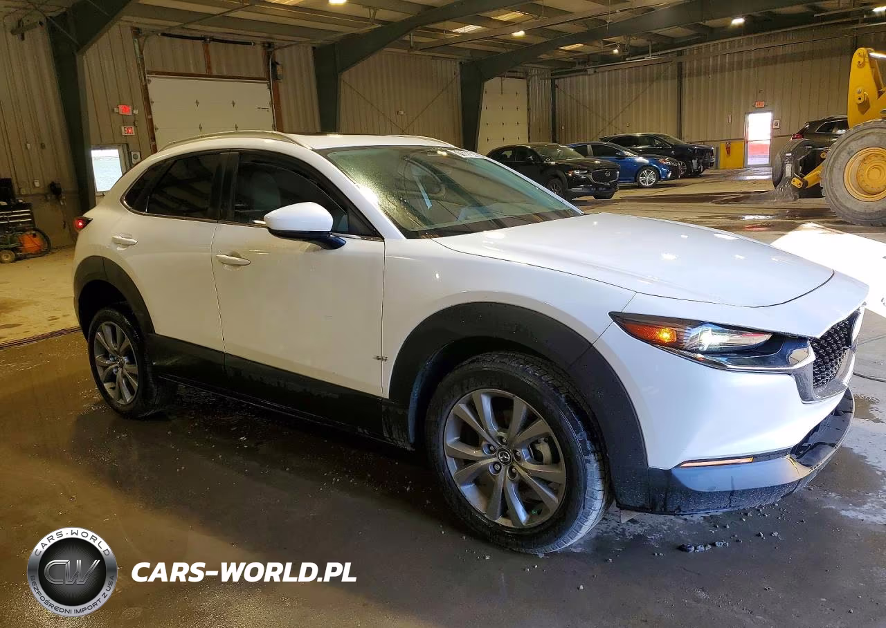 2025 Mazda Cx-30 Preferred VIN:3MVDMBCM6SM814779 - 4