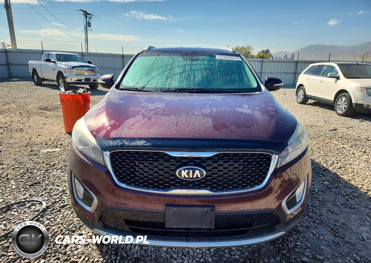 2017 Kia Sorento Ex VIN:5XYPHDA56HG330482 - 5
