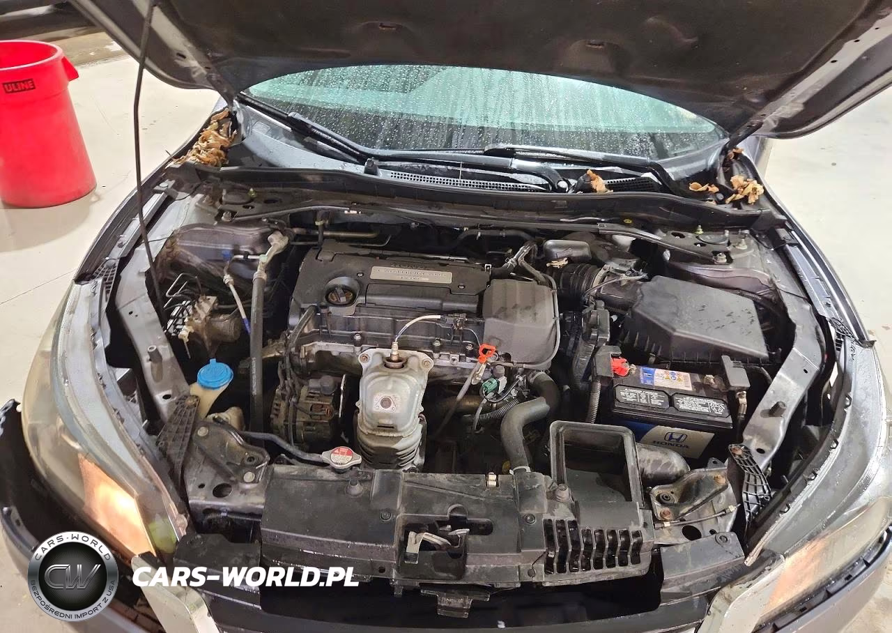 2014 Honda Accord Exl VIN:1HGCR2F88EA007356 - 11