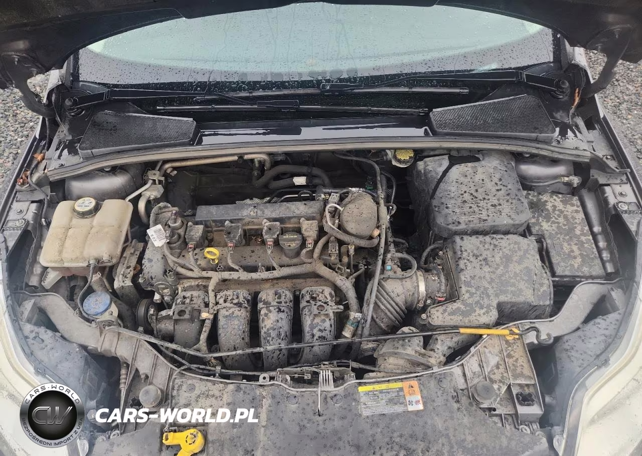 2013 Ford Focus Se VIN:1FADP3F22DL115877 - 11