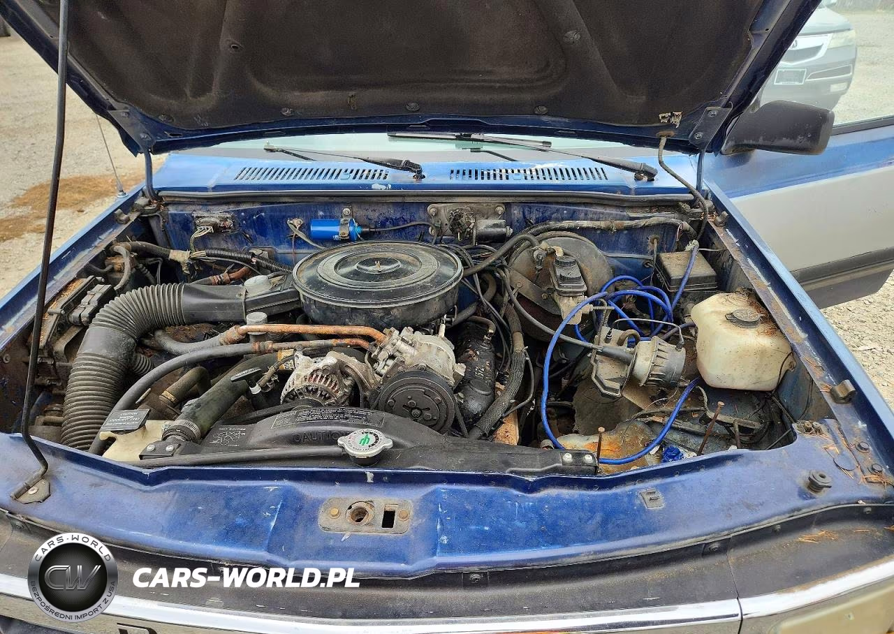 1991 Dodge Dakota VIN:1B7GL23Y0MS261058 - 11