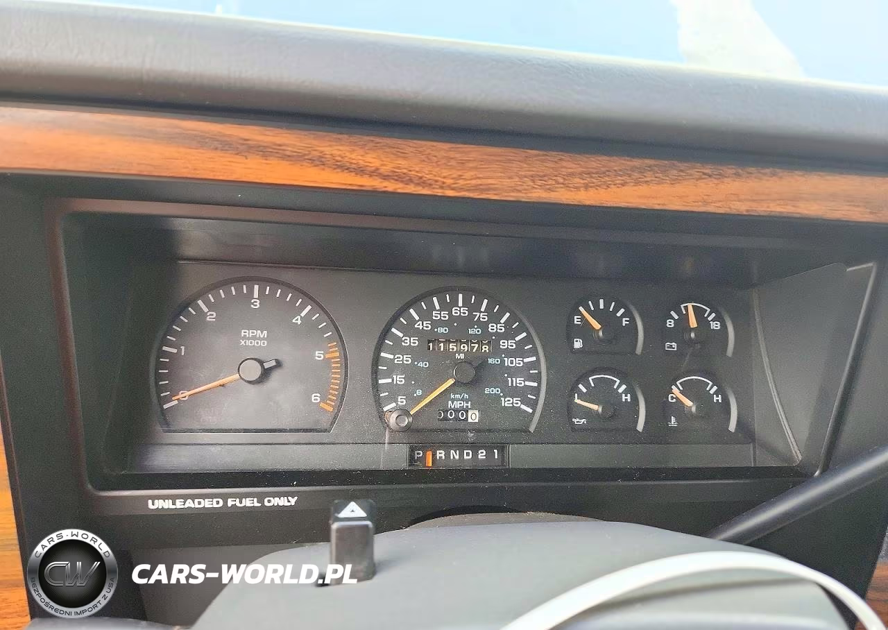 1991 Dodge Dakota VIN:1B7GL23Y0MS261058 - 9